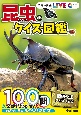 昆虫のクイズ図鑑