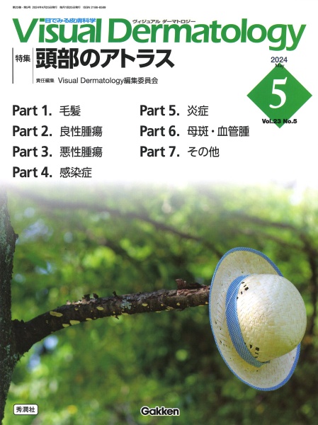 Visual Dermatology　ビジュアルダーマトロジー　裁断済 1275041_n.jpg