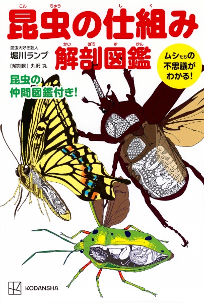 昆虫の仕組み　解剖図鑑　ムシたちの不思議がわかる！