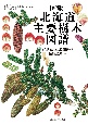 北海道主要樹木図譜　新版