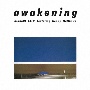 アウェイクニング　－Pastel　Blue　Vinyl－