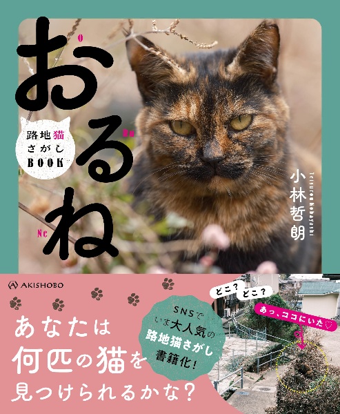 おるね　路地猫さがしＢＯＯＫ