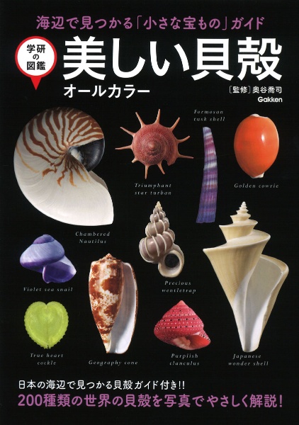 美しい貝殻 オールカラー海辺で見つかる「小さな宝もの」ガイド