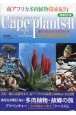 Cape　Plants・2　南アフリカ・ナマクアランド多肉植物自生地