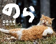 2025猫カレンダー　のら