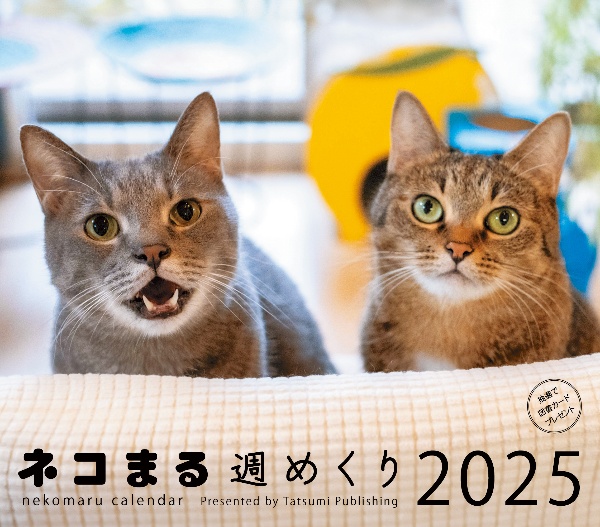 カレンダーネコまる週めくり　２０２５