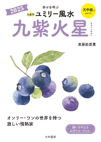 本『九星別ユミリー風水　九紫火星　2025』の書影です。