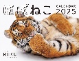 ほぼねこカレンダー　2025