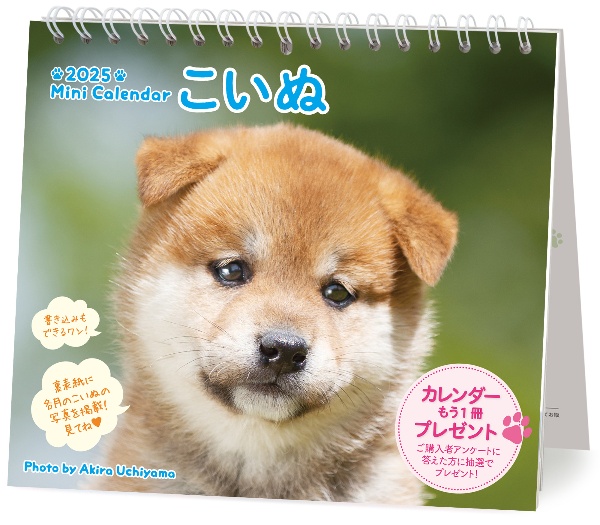 ミニカレンダーこいぬ 2025