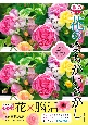 脳の筋トレ！　花のまちがいさがし