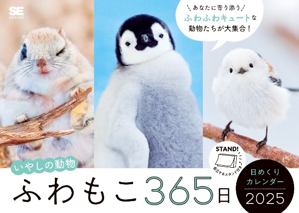 ふわもこ365日いやしの動物日めくりカレンダー 2025