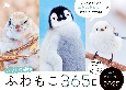 ふわもこ365日いやしの動物日めくりカレンダー　2025