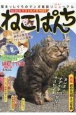 ねこぱんち　ネコと私の夏物語号(213)