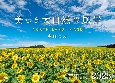 美しき大自然の風景　カレンダー　2025