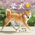 柴犬カレンダー　2025