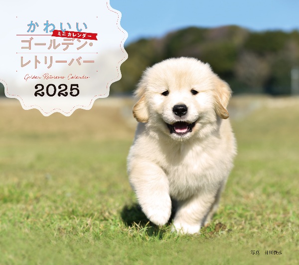 ２０２５年カレンダー　かわいいゴールデン・レトリーバー