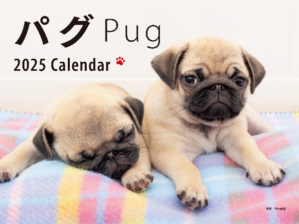 ワイド判パグカレンダー 2025