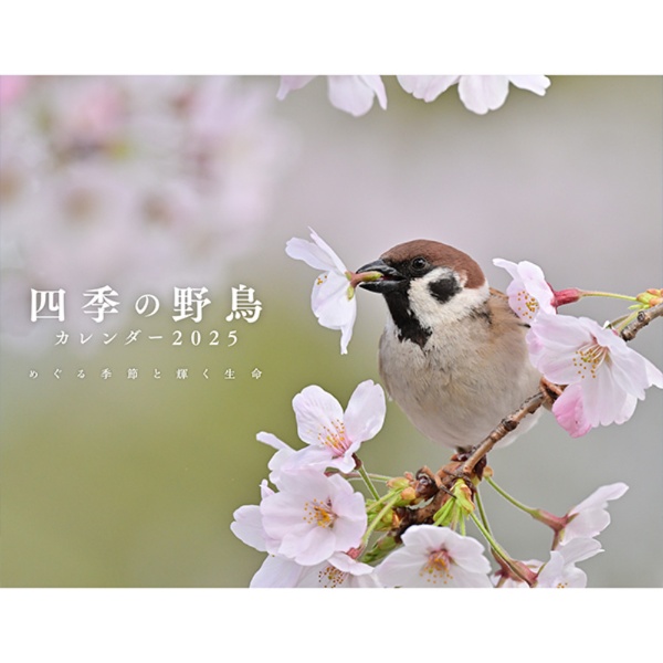 四季の野鳥（イカロスカレンダー２０２５）