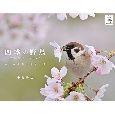 四季の野鳥（イカロスカレンダー2025）