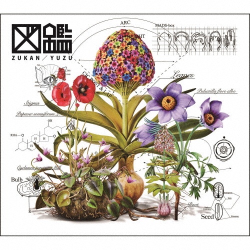 ⭐️ゆずです SEES(BD付)/ゆず - 販売CD｜TSUTAYA レンタル・販売 商品在庫検索