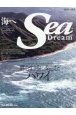 Sea　Dream　海へ(38)