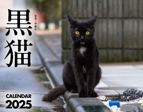 黒猫カレンダー２０２５