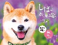 しばと暮らせば♪　柴犬カレンダー　2025