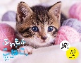 ふわもふこねこ。　CALENDAR　2025