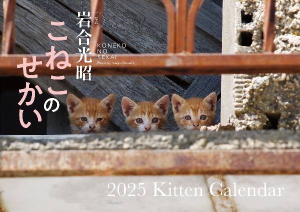 こねこのせかい　Ｋｉｔｔｅｎ　Ｃａｌｅｎｄａｒ【Ｓ１７】　２０２５