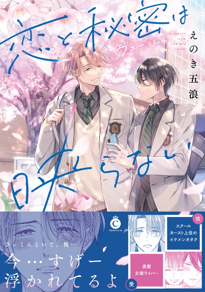 恋と秘密-ヴェール-は映らない