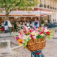 『花時間』Calendarパリの花・パリの街　2025