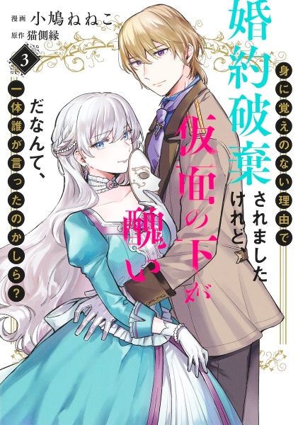 身に覚えのない理由で婚約破棄されましたけれど、仮面の下が醜いだなんて、一体誰が言ったのかしら？３