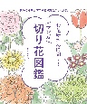 お花屋さん、花を買ったらどうすればいいの？