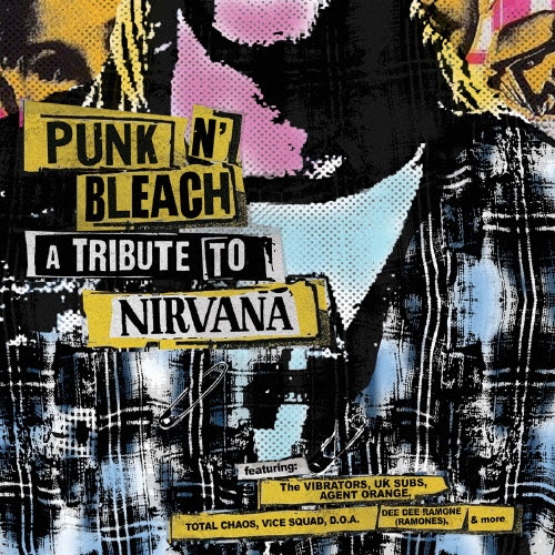 ＰＵＮＫ　Ｎ’　ＢＬＥＡＣＨ　－　Ａ　ＰＵＮＫ　ＴＲＩＢＵＴＥ　ＴＯ　ＮＩＲＶＡＮＡ