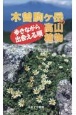 木曽駒ヶ岳の高山植物　歩きながら出会える順