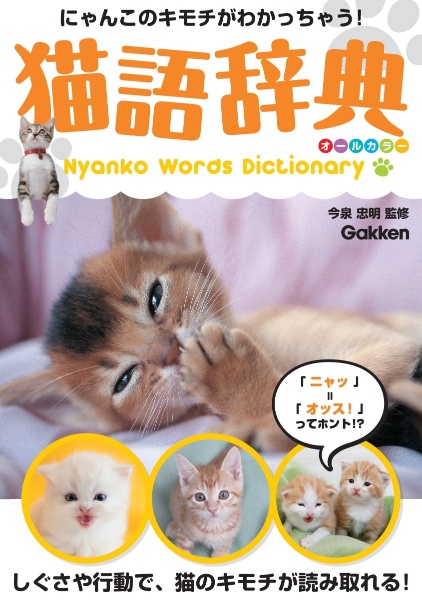 猫語辞典　オールカラー　にゃんこのキモチがわかっちゃう！