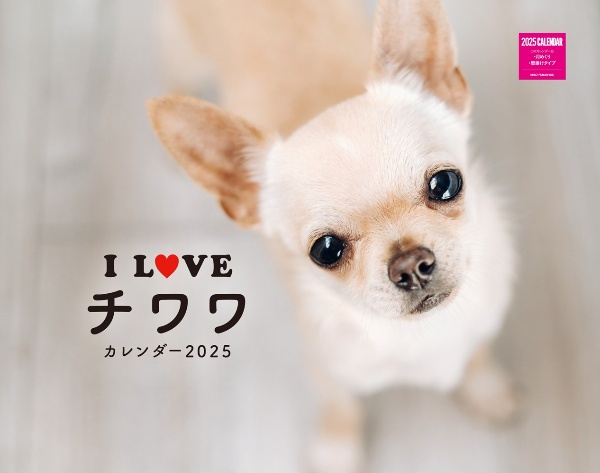 Ｉ　ＬＯＶＥ　チワワカレンダー　２０２５