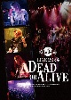 Live　2024　－Dead　or　Alive－＜DVD＞【数量限定版】