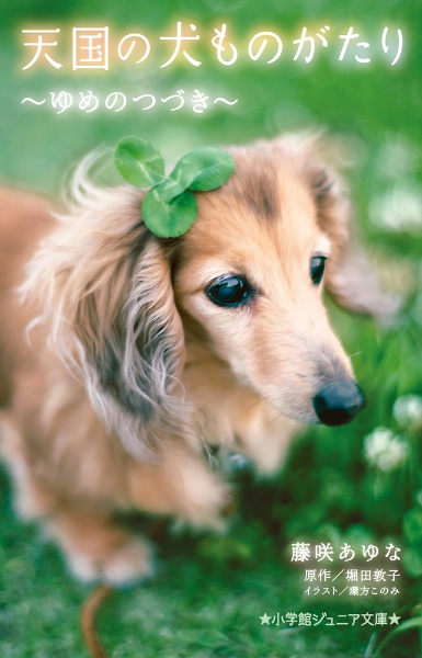 天国の犬ものがたり ~ゆめのつづき~