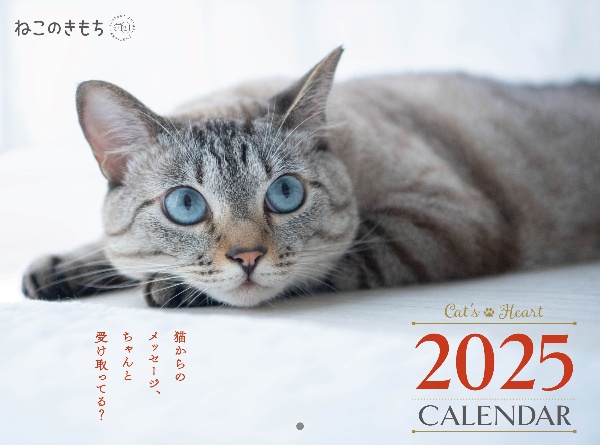 ねこのきもち大判カレンダー２０２５