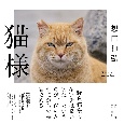 猫様