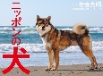 2025年カレンダー　ニッポンの犬