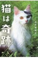 猫は奇跡