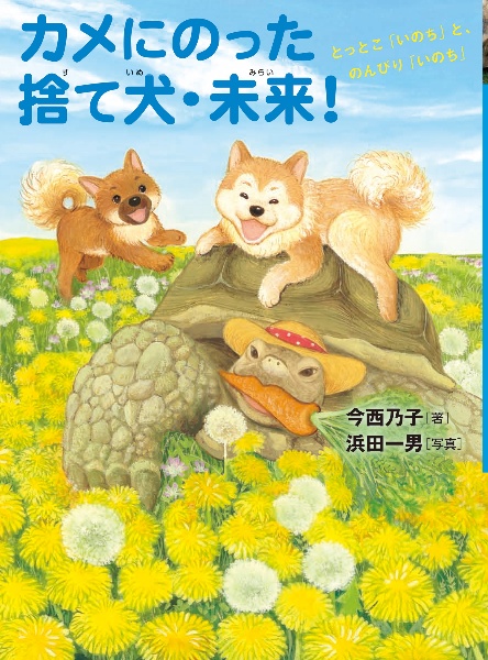 カメにのった捨て犬・未来! とっとこ「いのち」と、のんびり「いのち」