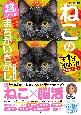 毎日脳活スペシャル　超にゃん問！　ねこのまちがいさがし　箱入りねこ多め巻