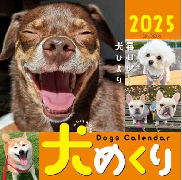 Ｄｏｇｓ　Ｃａｌｅｎｄａｒ犬めくり　毎日が、犬びより　２０２５