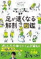 足が速くなる解剖図鑑