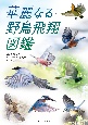 華麗なる野鳥飛翔図鑑