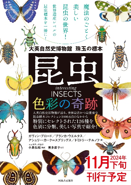 昆虫　色彩の奇跡　大英自然史博物館　珠玉の標本