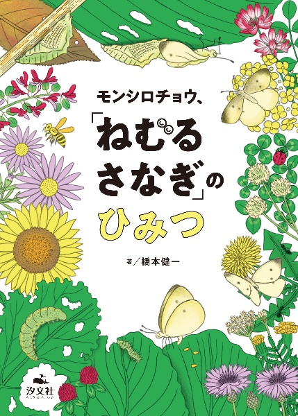 モンシロチョウ、「ねむる　さなぎ」のひみつ